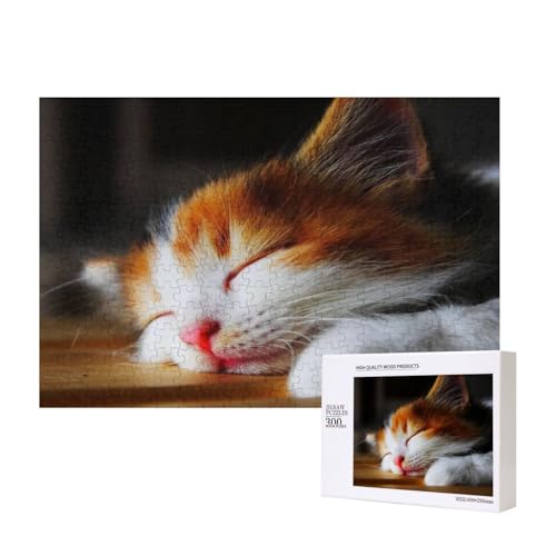 Faule schlafende Katze 300-teiliges Puzzle, Für Kinder ab 9 Jahren Lernspielzeug-300 Teile 28X40cm von houhm