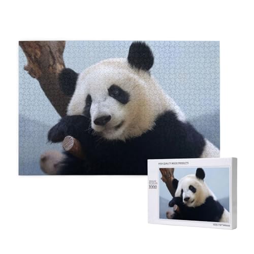 Fauler, sanfter Panda Puzzle 1000 Teile für Erwachsene, Lernspiele, Heimdekorationspuzzle – Denksport-Puzzle 1000 Teile von houhm