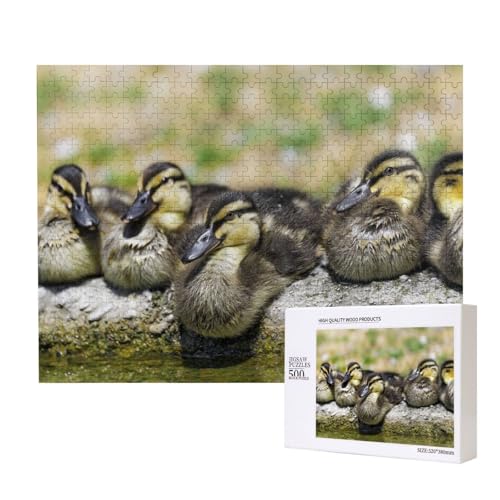 Fünf Schwarzschnabelentenküken Puzzle für 500 Personen, für Erwachsene und Kinder ab 12 Jahren, anspruchsvolles Puzzle, Puzzlegröße 38 x 52 cm von houhm