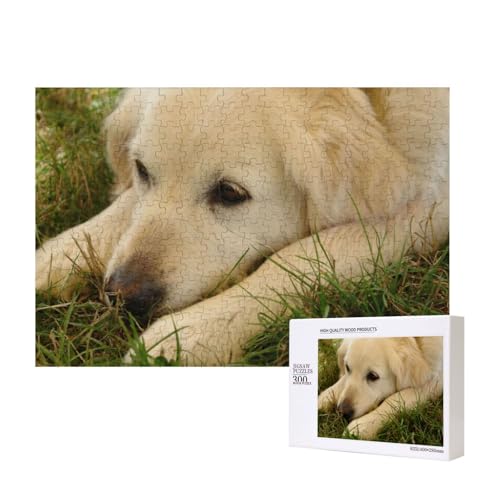 Gelbe Wimpern Labrador 300-teiliges Puzzle, Für Kinder ab 9 Jahren Lernspielzeug-300 Teile 28X40cm von houhm