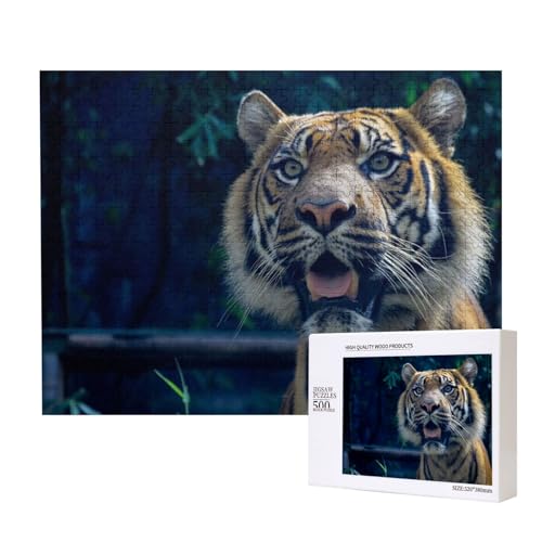 Glatthaariger Tiger Puzzle für 500 Personen, für Erwachsene und Kinder ab 12 Jahren, anspruchsvolles Puzzle, Puzzlegröße 38 x 52 cm von houhm