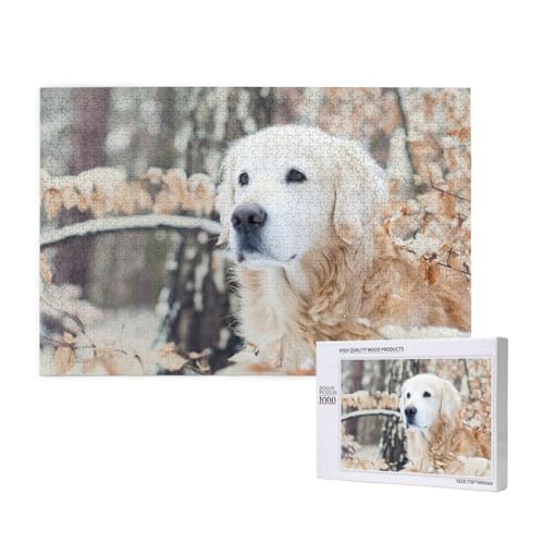 Golden Retriever mit weißem Gesicht Puzzle 1000 Teile für Erwachsene, Lernspiele, Heimdekorationspuzzle – Denksport-Puzzle 1000 Teile von houhm