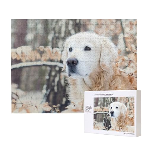 Golden Retriever mit weißem Gesicht Puzzle für 500 Personen, für Erwachsene und Kinder ab 12 Jahren, anspruchsvolles Puzzle, Puzzlegröße 38 x 52 cm von houhm