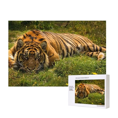 Gras bewegt einen Muskeltiger Nicht 300-teiliges Puzzle, Für Kinder ab 9 Jahren Lernspielzeug-300 Teile 28X40cm von houhm