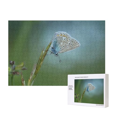 Grauer Blauer Körperschmetterling 300-teiliges Puzzle, Für Kinder ab 9 Jahren Lernspielzeug-300 Teile 28X40cm von houhm