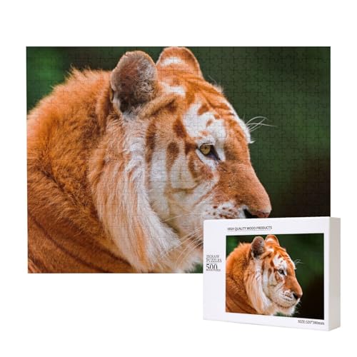 Großer orangefarbener Tiger Puzzle für 500 Personen, für Erwachsene und Kinder ab 12 Jahren, anspruchsvolles Puzzle, Puzzlegröße 38 x 52 cm von houhm