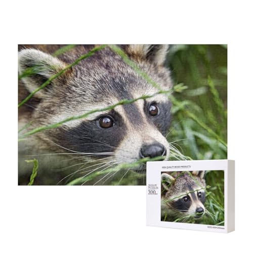 Herumstreunender Waschbär 300-teiliges Puzzle, Für Kinder ab 9 Jahren Lernspielzeug-300 Teile 28X40cm von houhm