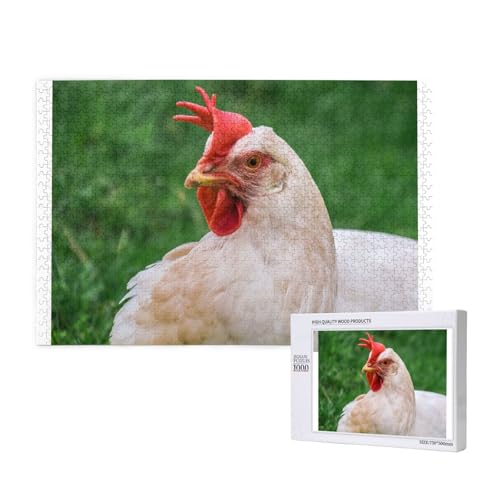 Huhn mit runden Augen Puzzle 1000 Teile für Erwachsene, Lernspiele, Heimdekorationspuzzle – Denksport-Puzzle 1000 Teile von houhm