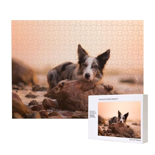 Hund auf den Felsen am Meer Puzzle für 500 Personen, für Erwachsene und Kinder ab 12 Jahren, anspruchsvolles Puzzle, Puzzlegröße 38 x 52 cm von houhm