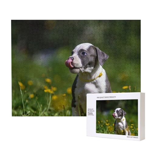 Hund leckt Nase Puzzle für 500 Personen, für Erwachsene und Kinder ab 12 Jahren, anspruchsvolles Puzzle, Puzzlegröße 38 x 52 cm von houhm