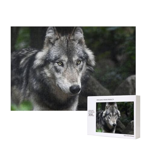 Hungriger Wolf 300-teiliges Puzzle, Für Kinder ab 9 Jahren Lernspielzeug-300 Teile 28X40cm von houhm