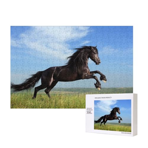 Jet - Schwarzes und glänzendes Pferd 300-teiliges Puzzle, Für Kinder ab 9 Jahren Lernspielzeug-300 Teile 28X40cm von houhm