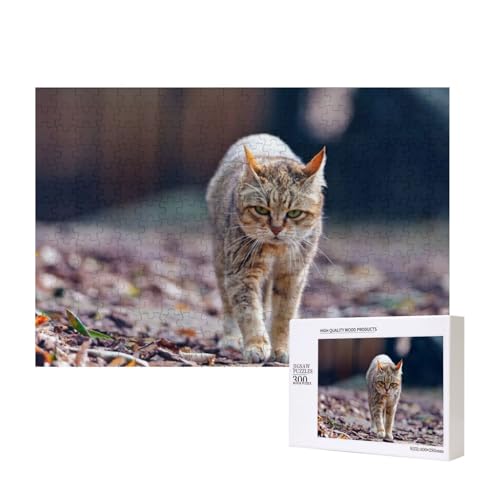 Kalte Katze 300-teiliges Puzzle, Für Kinder ab 9 Jahren Lernspielzeug-300 Teile 28X40cm von houhm