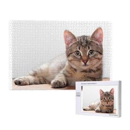 Katze auf Holzboden Puzzle 1000 Teile für Erwachsene, Lernspiele, Heimdekorationspuzzle – Denksport-Puzzle 1000 Teile von houhm