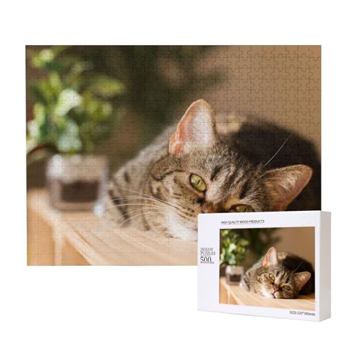 Katze auf Holzschrank Puzzle für 500 Personen, für Erwachsene und Kinder ab 12 Jahren, anspruchsvolles Puzzle, Puzzlegröße 38 x 52 cm von houhm