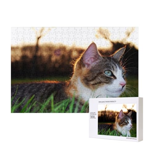 Katze auf dem Gras im Frühling 300-teiliges Puzzle, Für Kinder ab 9 Jahren Lernspielzeug-300 Teile 28X40cm von houhm