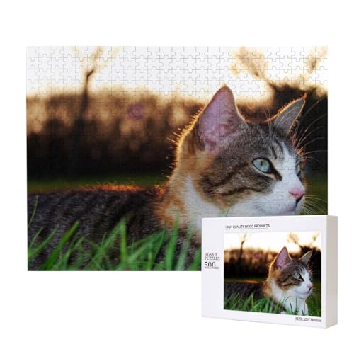 Katze auf dem Gras im Frühling Puzzle für 500 Personen, für Erwachsene und Kinder ab 12 Jahren, anspruchsvolles Puzzle, Puzzlegröße 38 x 52 cm von houhm