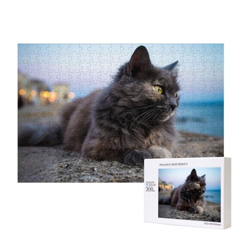 Katze auf den Felsen am Meer 300-teiliges Puzzle, Für Kinder ab 9 Jahren Lernspielzeug-300 Teile 28X40cm von houhm