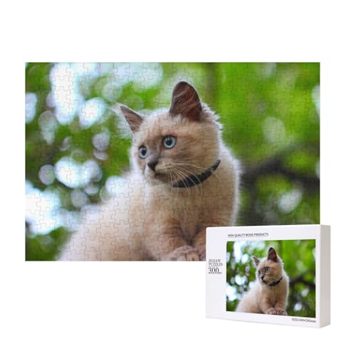 Katze mit Halsband 300-teiliges Puzzle, Für Kinder ab 9 Jahren Lernspielzeug-300 Teile 28X40cm von houhm