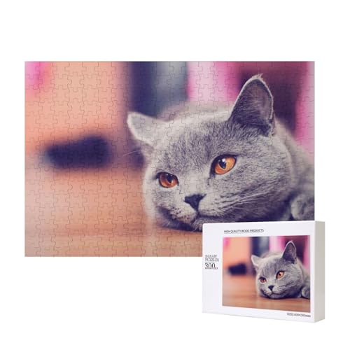 Katze mit orangefarbenen Augen 300-teiliges Puzzle, Für Kinder ab 9 Jahren Lernspielzeug-300 Teile 28X40cm von houhm