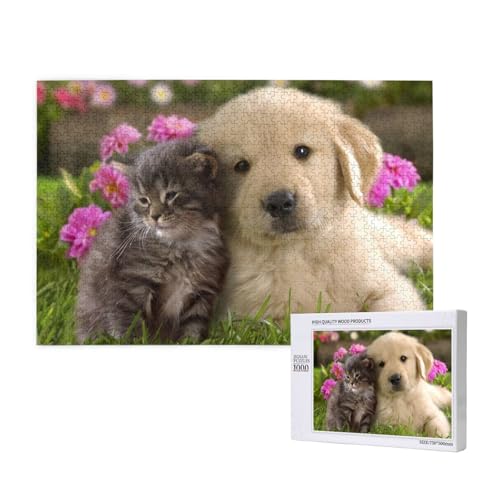 Katze und Hund kuscheln zusammen Puzzle 1000 Teile für Erwachsene, Lernspiele, Heimdekorationspuzzle – Denksport-Puzzle 1000 Teile von houhm