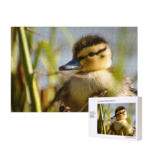 Kleine Ente in der Sonne 300-teiliges Puzzle, Für Kinder ab 9 Jahren Lernspielzeug-300 Teile 28X40cm von houhm