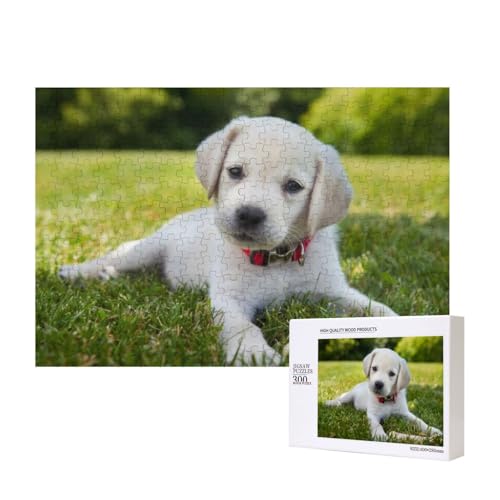 Kluger Labrador 300-teiliges Puzzle, Für Kinder ab 9 Jahren Lernspielzeug-300 Teile 28X40cm von houhm