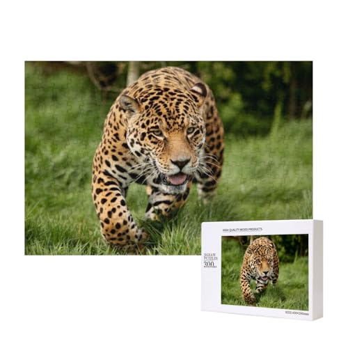 Leopard auf Wanderschaft 300-teiliges Puzzle, Für Kinder ab 9 Jahren Lernspielzeug-300 Teile 28X40cm von houhm