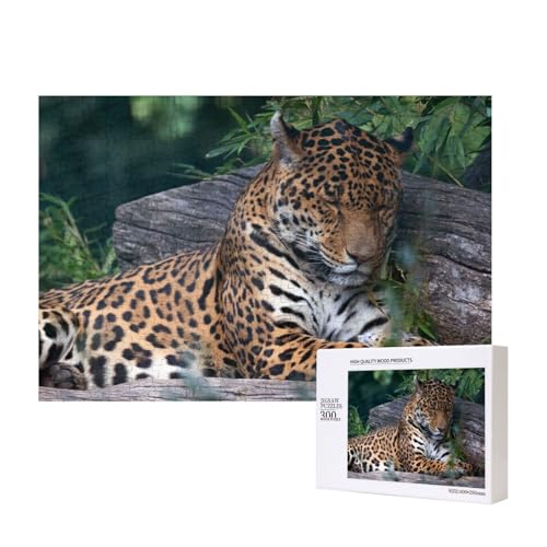 Leopard blinzelt 300-teiliges Puzzle, Für Kinder ab 9 Jahren Lernspielzeug-300 Teile 28X40cm von houhm