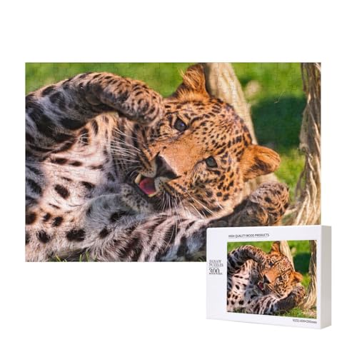 Leopard rollt und spielt 300-teiliges Puzzle, Für Kinder ab 9 Jahren Lernspielzeug-300 Teile 28X40cm von houhm