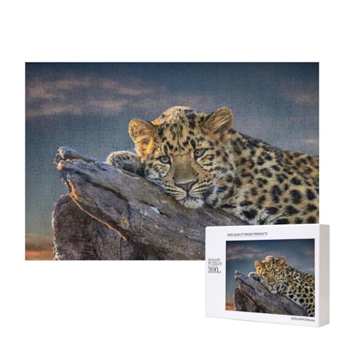 Leopard ruht auf einem Felsen 300-teiliges Puzzle, Für Kinder ab 9 Jahren Lernspielzeug-300 Teile 28X40cm von houhm