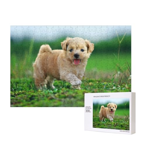 Lhasa Apso 300-teiliges Puzzle, Für Kinder ab 9 Jahren Lernspielzeug-300 Teile 28X40cm von houhm