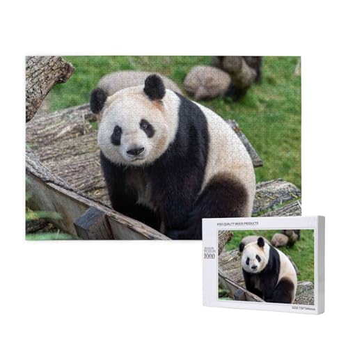 Liebenswerter Tollpatsch-Panda Puzzle 1000 Teile für Erwachsene, Lernspiele, Heimdekorationspuzzle – Denksport-Puzzle 1000 Teile von houhm