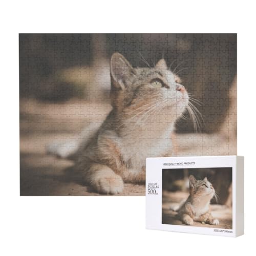 Liegende und wartende Katze Puzzle für 500 Personen, für Erwachsene und Kinder ab 12 Jahren, anspruchsvolles Puzzle, Puzzlegröße 38 x 52 cm von houhm