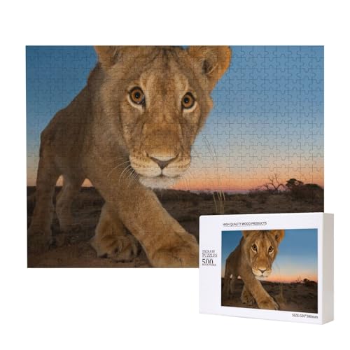 Löwenjunges auf dem Sand Puzzle für 500 Personen, für Erwachsene und Kinder ab 12 Jahren, anspruchsvolles Puzzle, Puzzlegröße 38 x 52 cm von houhm