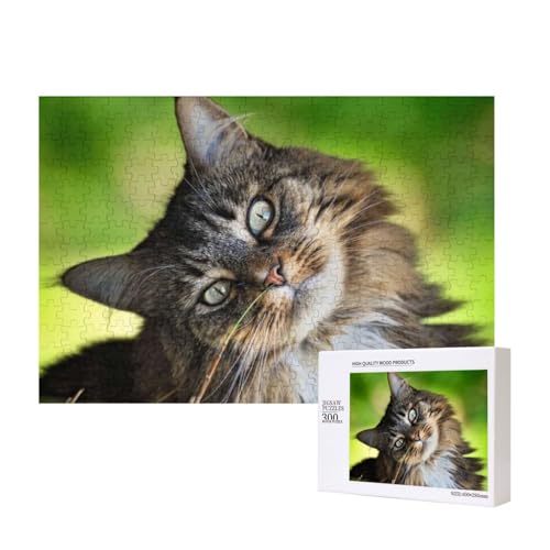 Maine Coon Katze mit geneigtem Kopf 300-teiliges Puzzle, Für Kinder ab 9 Jahren Lernspielzeug-300 Teile 28X40cm von houhm