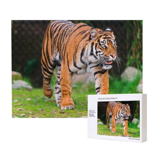 Mit unwiderstehlicher Kraft Tiger Puzzle für 500 Personen, für Erwachsene und Kinder ab 12 Jahren, anspruchsvolles Puzzle, Puzzlegröße 38 x 52 cm von houhm