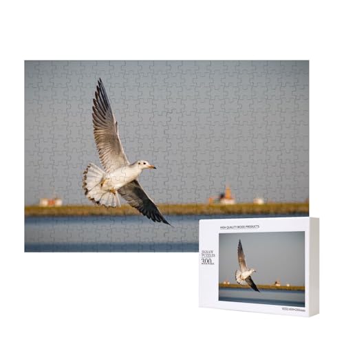 Möwe mit schönen Federn 300-teiliges Puzzle, Für Kinder ab 9 Jahren Lernspielzeug-300 Teile 28X40cm von houhm