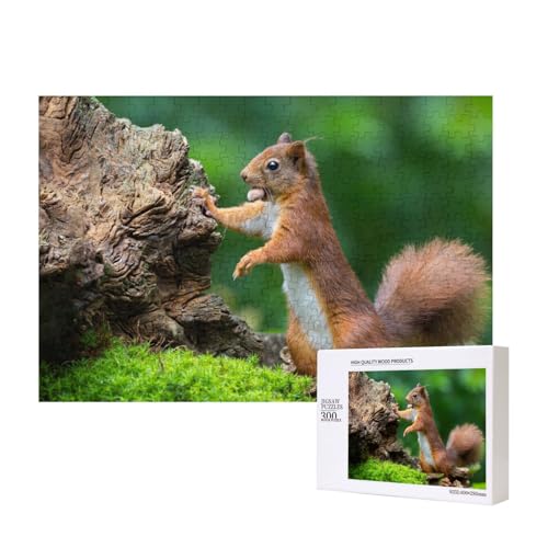 Nüsse und aufmerksame Eichhörnchen 300-teiliges Puzzle, Für Kinder ab 9 Jahren Lernspielzeug-300 Teile 28X40cm von houhm