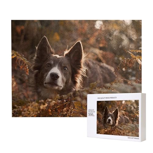 Ohren Spitzen, Überraschungshund Puzzle für 500 Personen, für Erwachsene und Kinder ab 12 Jahren, anspruchsvolles Puzzle, Puzzlegröße 38 x 52 cm von houhm