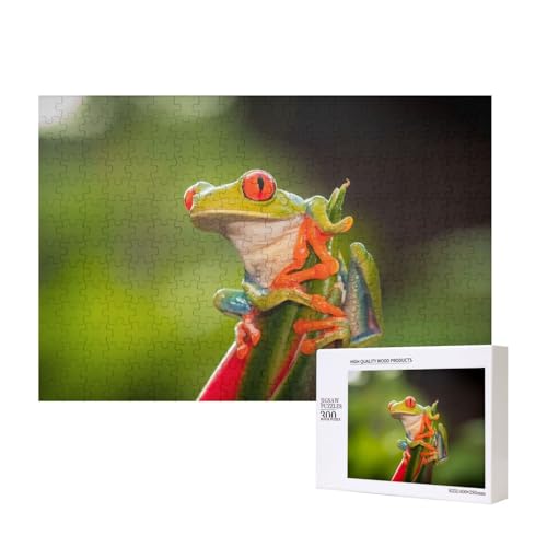 Oranger Großaugenfrosch 300-teiliges Puzzle, Für Kinder ab 9 Jahren Lernspielzeug-300 Teile 28X40cm von houhm