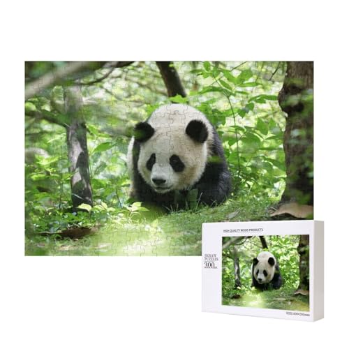 Panda, der im Wald spaziert 300-teiliges Puzzle, Für Kinder ab 9 Jahren Lernspielzeug-300 Teile 28X40cm von houhm