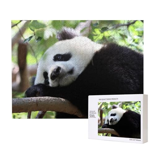 Panda auf einem AST Puzzle für 500 Personen, für Erwachsene und Kinder ab 12 Jahren, anspruchsvolles Puzzle, Puzzlegröße 38 x 52 cm von houhm