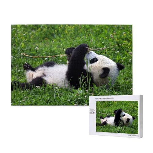 Panda spielt auf dem Rasen Puzzle 1000 Teile für Erwachsene, Lernspiele, Heimdekorationspuzzle – Denksport-Puzzle 1000 Teile von houhm