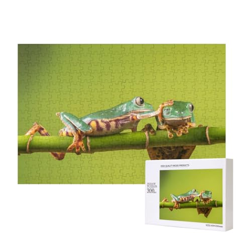 Pat der Kopffrosch 300-teiliges Puzzle, Für Kinder ab 9 Jahren Lernspielzeug-300 Teile 28X40cm von houhm