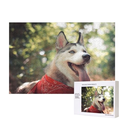 Roter Halstuch Husky 300-teiliges Puzzle, Für Kinder ab 9 Jahren Lernspielzeug-300 Teile 28X40cm von houhm