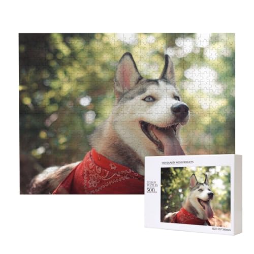 Roter Halstuch Husky Puzzle für 500 Personen, für Erwachsene und Kinder ab 12 Jahren, anspruchsvolles Puzzle, Puzzlegröße 38 x 52 cm von houhm