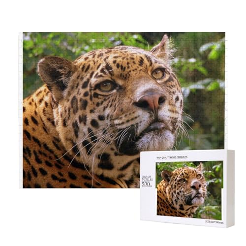 Ruheloser Leopard Puzzle für 500 Personen, für Erwachsene und Kinder ab 12 Jahren, anspruchsvolles Puzzle, Puzzlegröße 38 x 52 cm von houhm