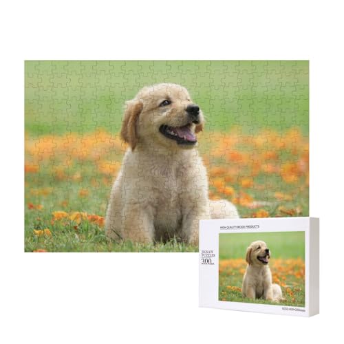 Sanfter Golden Retriever 300-teiliges Puzzle, Für Kinder ab 9 Jahren Lernspielzeug-300 Teile 28X40cm von houhm