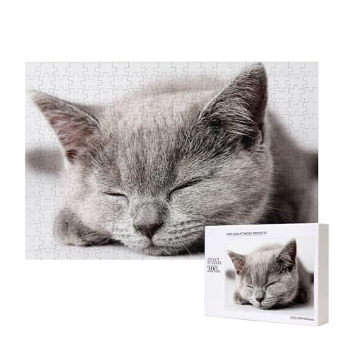 Schlafende graue Katze 300-teiliges Puzzle, Für Kinder ab 9 Jahren Lernspielzeug-300 Teile 28X40cm von houhm